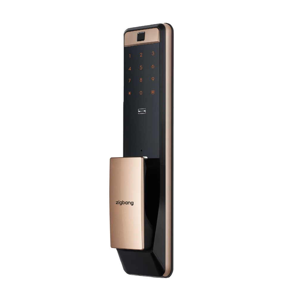 DP 609 digital door lock brown with fingerprint PIN card and WiFi access Malaysia