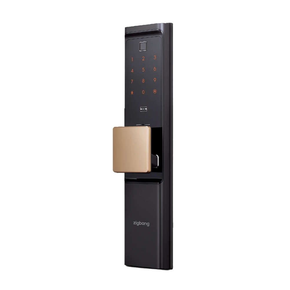 R80 digital door lock gold with fingerprint PIN card and WiFi access Malaysia